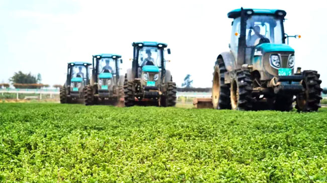 恒峰g22(国际)官网入口-天天有惊喜